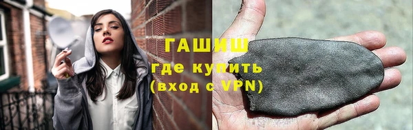 индика Елизово