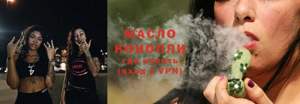индика Елизово