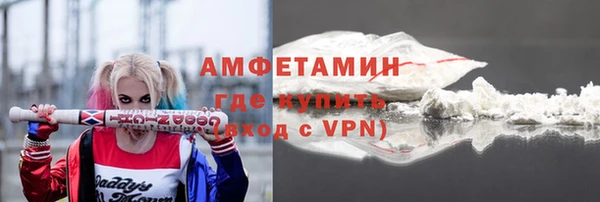 индика Елизово
