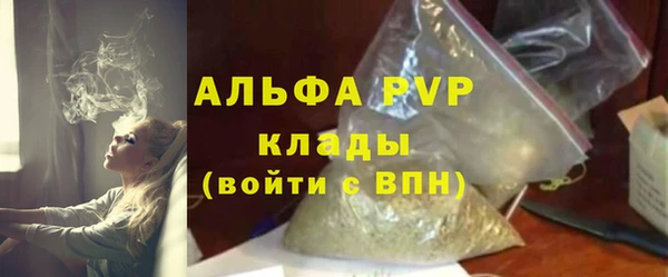индика Елизово