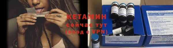 индика Елизово