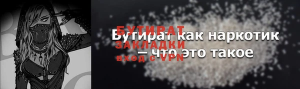 индика Елизово