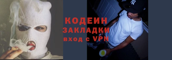 индика Елизово