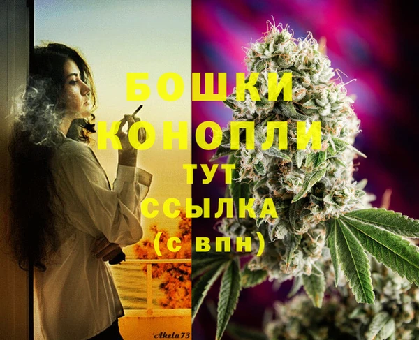 индика Елизово