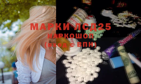 индика Елизово