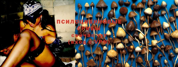 индика Елизово