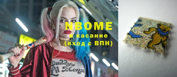 индика Елизово