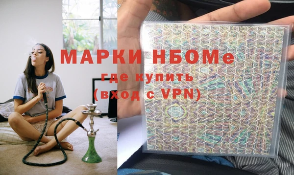 индика Елизово