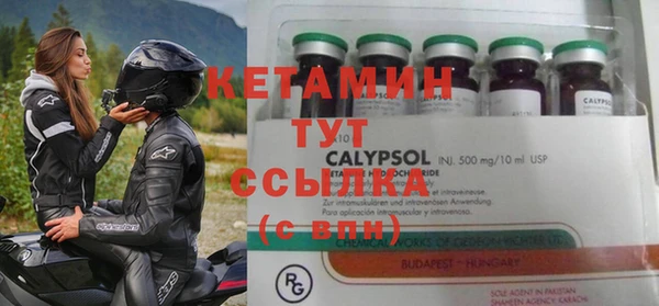 индика Елизово