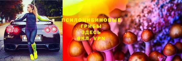 дурь Елабуга